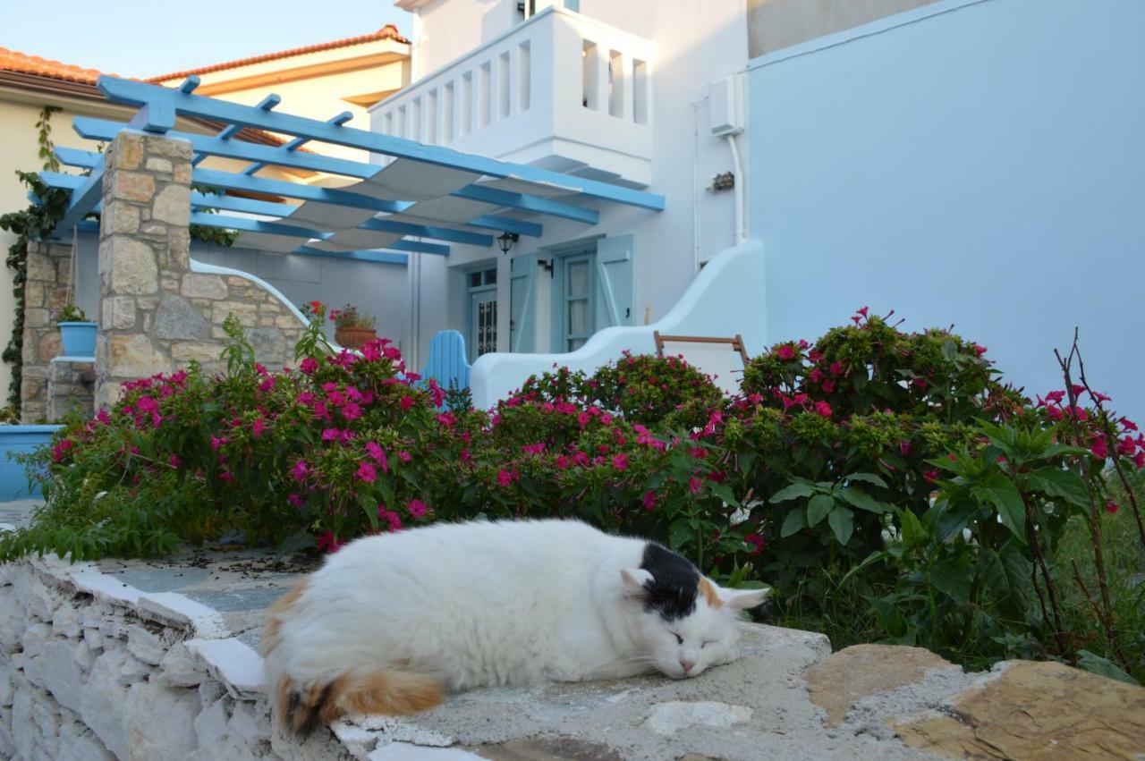 Stella'S Traditional House. Alonnisos Town Exterior photo